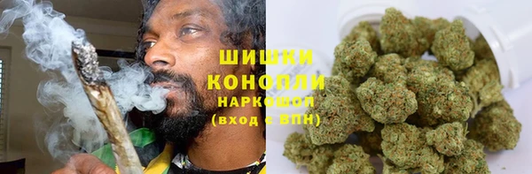дмт Лагань