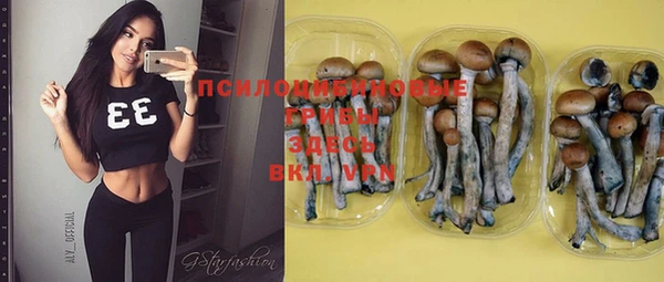 MDMA Лиски