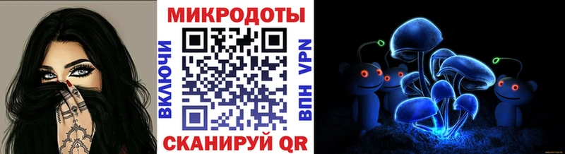 Псилоцибиновые грибы Psilocybe  купить закладку  Орехово-Зуево 